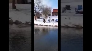 Ловим форель в Щеглятьево!!! Домодедовский район!!!