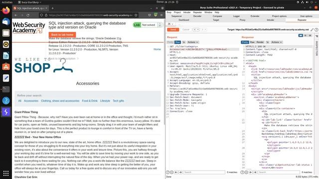 SQL injection attack, querying the database type and version on Oracle (Video Solution) | 2022 смотреть онлайн