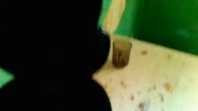 Тараканы смотреть онлайн