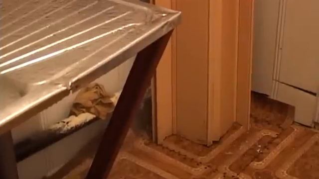 В доме по улице Талалихина образовался нстоящий потоп смотреть онлайн