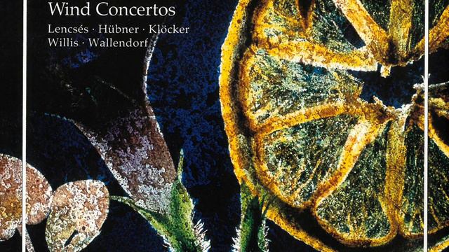Clarinet Concerto No. 2 in E-Flat Major, C63: III. Rondo. Allegro scherzante смотреть онлайн