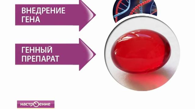 Генный допинг. Рассказывает Анна Урманцева смотреть онлайн