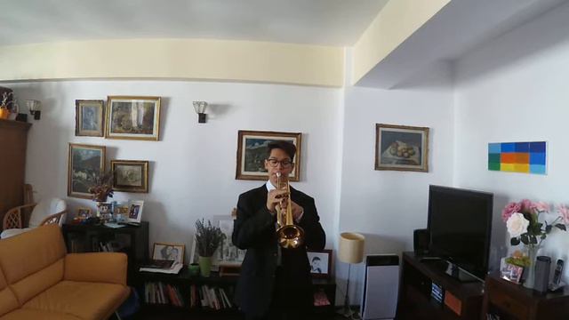 Imagine by John Lennon, trumpet cover Robert Balaban смотреть онлайн