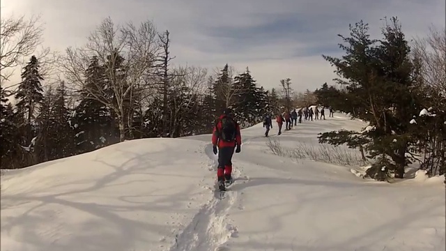 Январские обгонялки 2013