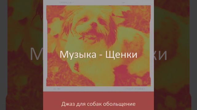 Созерцая (Отдыхающие собаки)