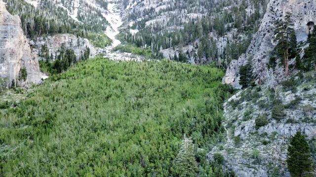 Арктурианский Совет Как подключиться к Иисусу Христу Иешуа смотреть онлайн