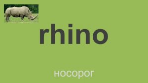 Удивительные животные / Amazing creatures [Spotlight 5 - Module 5a]