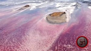 Озеро убийца. Натрон