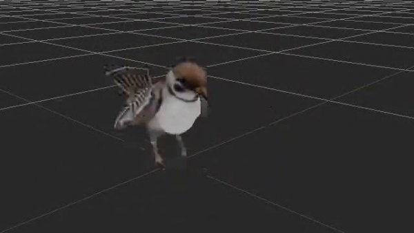 Sparrow animations: Анимация Воробья. 3d-content.ru