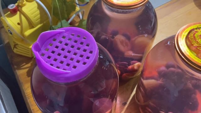 Рецепты желе для всей семьи