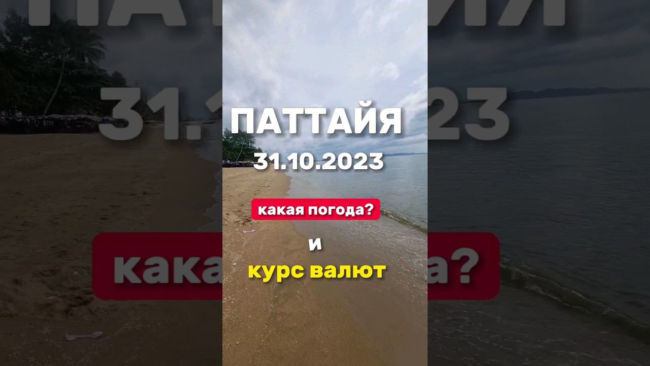 Ежедневные выпуски из Паттайи. Погода и курс бата. Лучшие экскурсии в 2023 году смотреть онлайн