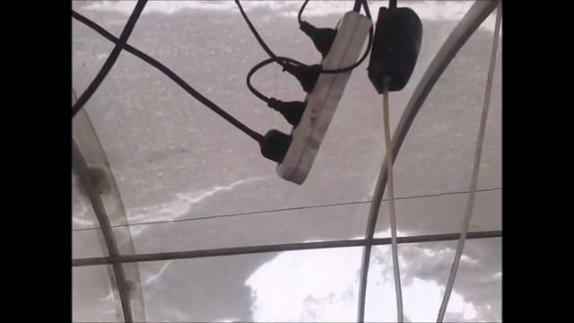 ЖИВЕЦ - КАРАСЬ