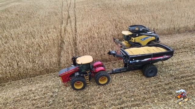 CORN HARVEST 2020 near Bradford Illinois смотреть онлайн