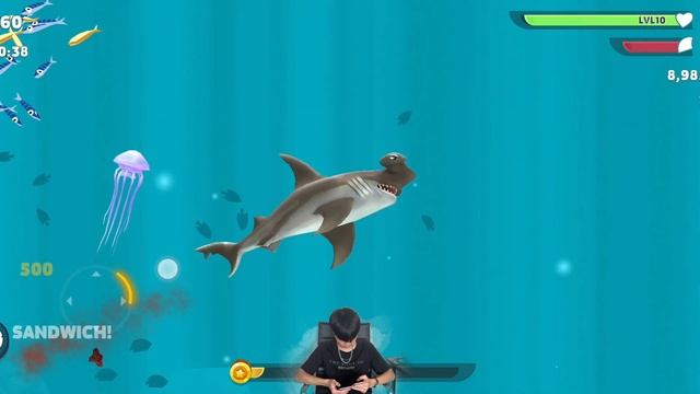 Hungry Shark Evolution - New Video Gameplay Mobile New Shark Unlocked (Part 2) смотреть онлайн