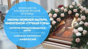 ?Прямая трансляция.Литургия Преждеосвященных Даров.Архиерейским чином.Совершает митрополит Амвросий