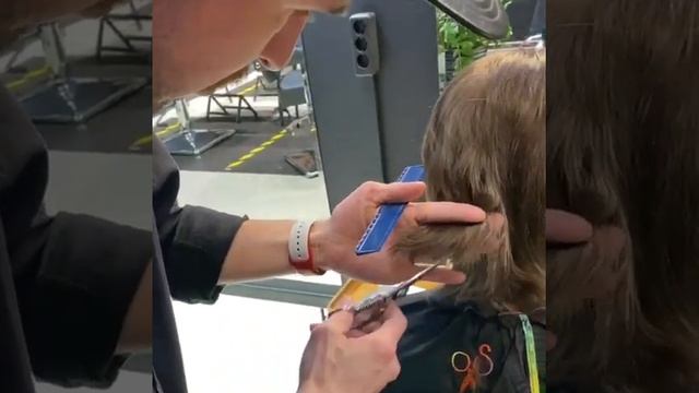 Виды срезов Пикетаж для создания текстуры в стрижке смотреть онлайн