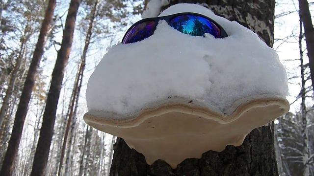 Привет ЯКОВ от Гриб Грибыча смотреть онлайн