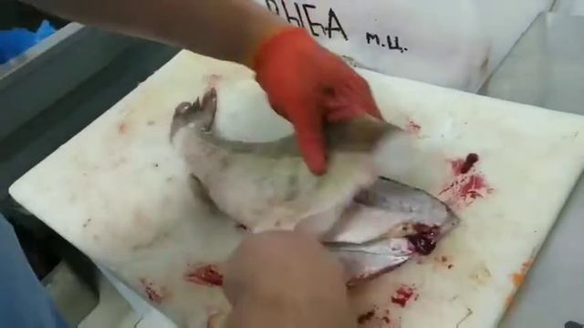разделка судака за 1 минуту смотреть онлайн