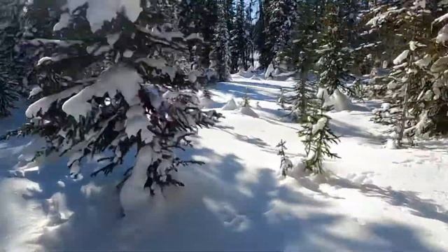Timbersled First Ride смотреть онлайн