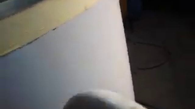 Реактор объёмом 630 л с устройством ввода сыпучих компонентов в потоке жидкости . смотреть онлайн