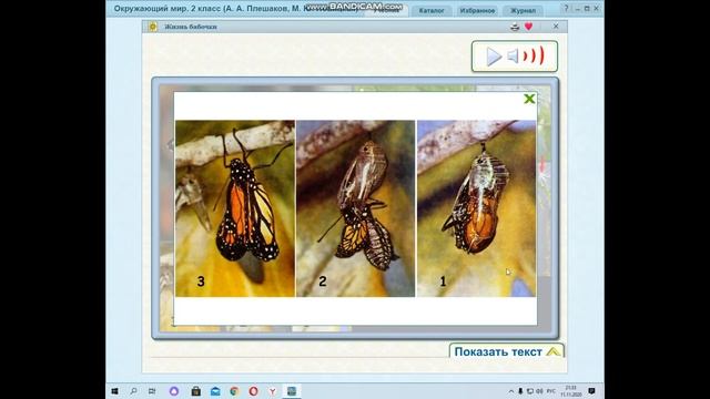 Окружающий мир 2 класс УМК "Перспектива" Тема: "Насекомые и пауки" смотреть онлайн