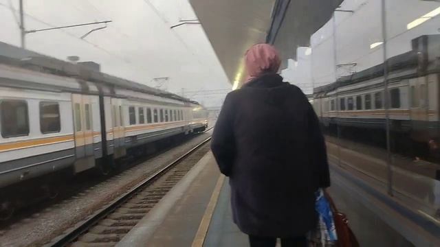 ЭД4М-0461 ЦППК и ЭП2Д-0173 на платформе Переделкино МЦД-4 смотреть онлайн