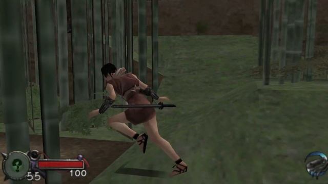 Tenchu: Time of the Assassins - Draw Distance (Experimental) смотреть онлайн