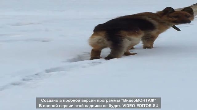 близняшки ( мы будем скучать ) смотреть онлайн