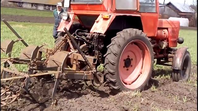 Культивация на тракторе Т-25, пробуем культиватор- окучник. Cultivation On The Tractor T-25
