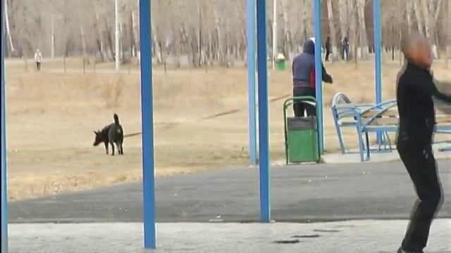 На Острове Татышев может появиться гольф-клуб смотреть онлайн