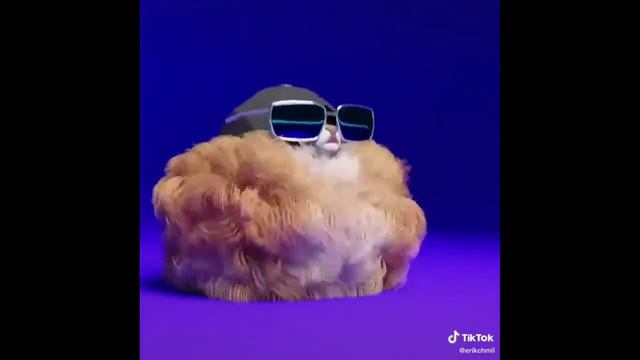 Пушистый кот флексит под... что это вообще такое? смотреть онлайн