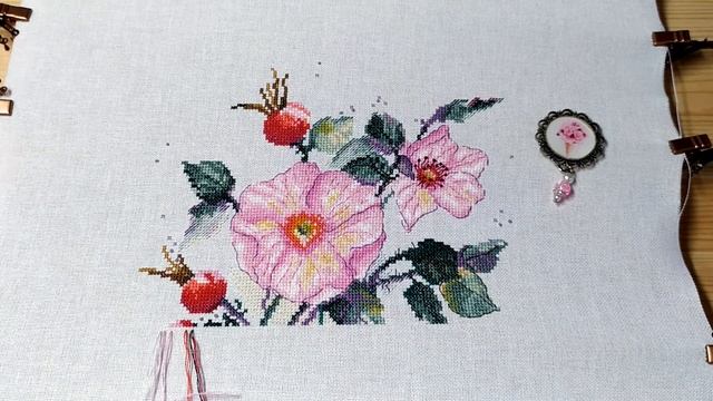 Продвижения по Майскому шиповнику от Панны смотреть онлайн