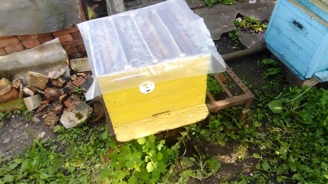 19.06.2021г. Удобный облетник из старого улья. Взяток - Эспарцет. смотреть онлайн
