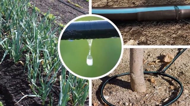 Green Полив Капельный смотреть онлайн