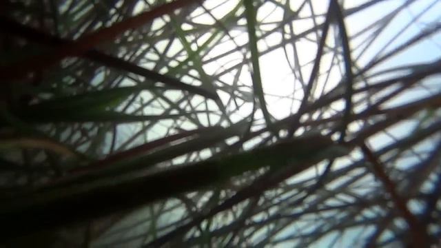 Ловля корюшки Де-Кастри 2015 смотреть онлайн