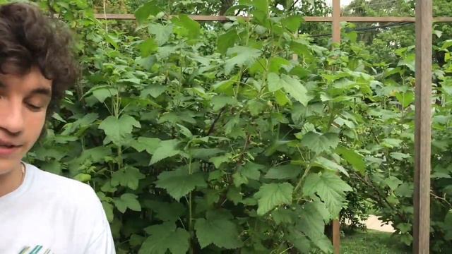 Бабушка Юбилей 2020 смотреть онлайн