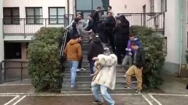 CASALMAIOCCO HARLEM SHAKE PT.2 смотреть онлайн