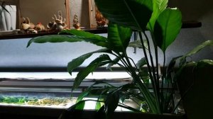 Погружной фитофильтр в аквариум своими руками. Часть 4