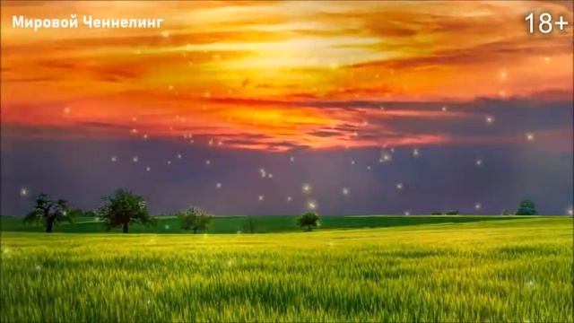 ЭКСТРЕННОЕ СООБЩЕНИЕ С ТОНКОГО ПЛАНА. смотреть онлайн