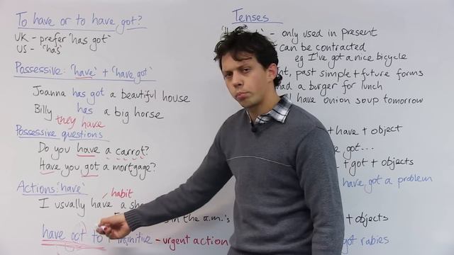 Learn English Grammar: has, have, have got смотреть онлайн