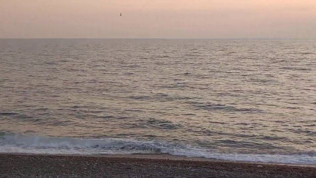 Дельфины в Адлере(1) смотреть онлайн