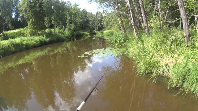 ЛОВЛЯ ЩУКИ НА ЛЕСНОЙ МИКРО РЕЧКЕ Tioga рулит,спасла рыбалку!!)