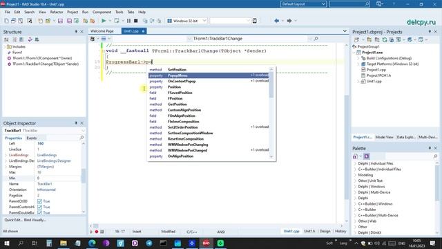 TrackBar In C++. Embarcadero.