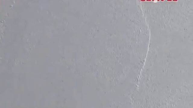 Техника нанесения Marmorella (Clavel)