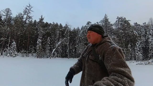 Камусные лыжи для охоты. Как подобрать охотничьи лыжи по размеру. смотреть онлайн