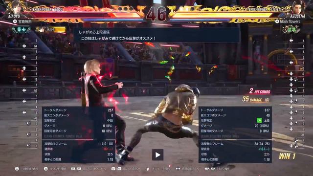 【#鉄拳8 #シャオユウ】オンライン対戦15日目 アップデートVer.1.02.01 トレモ～ゴースト～クイックマッチ #33 смотреть онлайн