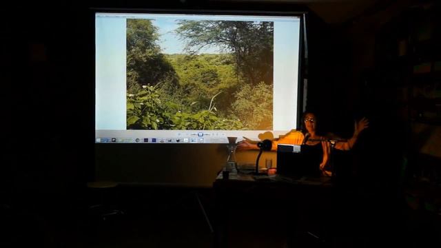 Work presentation of Mexican Artist, Zurich based, Paloma Ayala смотреть онлайн