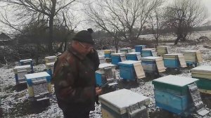 Какой улей лучше выбрать Дадан или Рутовский. Смотреть до конца.