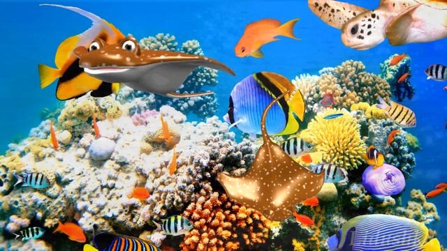Коралловые рифы. Самые красивые кораллы смотреть онлайн