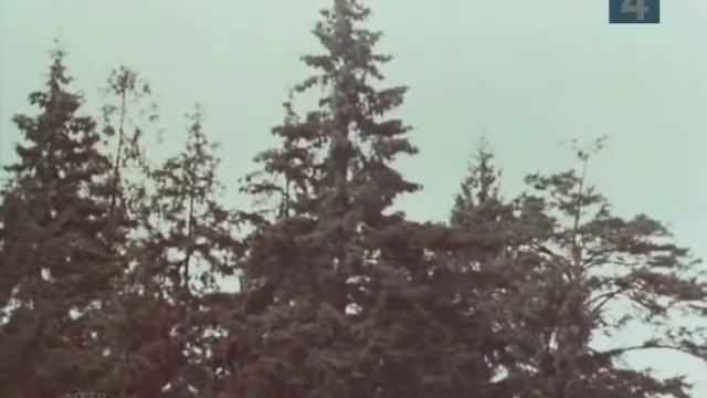«Чета белеющих берёз», поёт Леонид Сметанников смотреть онлайн